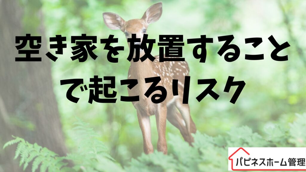 空き家放置
リスク
ハピネスホーム管理