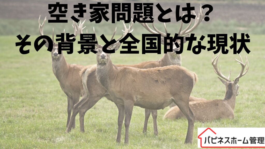 空き家問題
背景と現状
ハピネスホーム管理