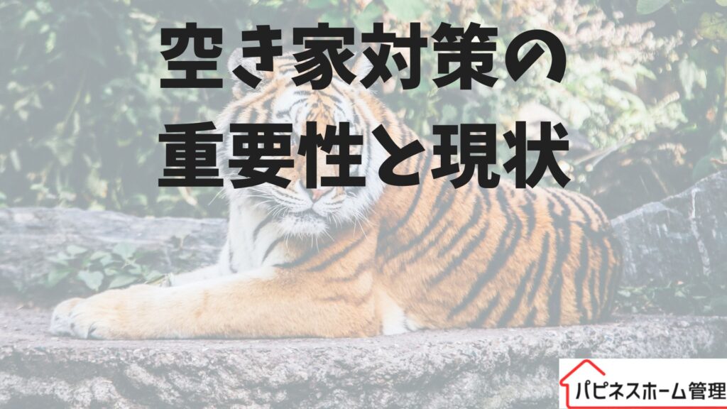 空き家対策
重要性と現状
ハピネスホーム管理
