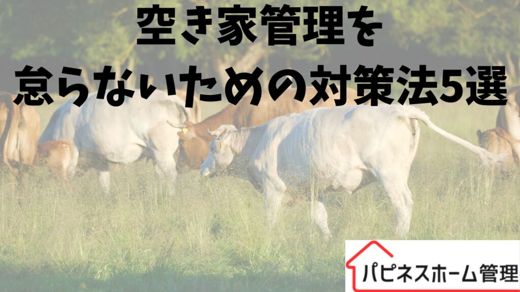 空き家管理
対策5選
ハピネスホーム管理