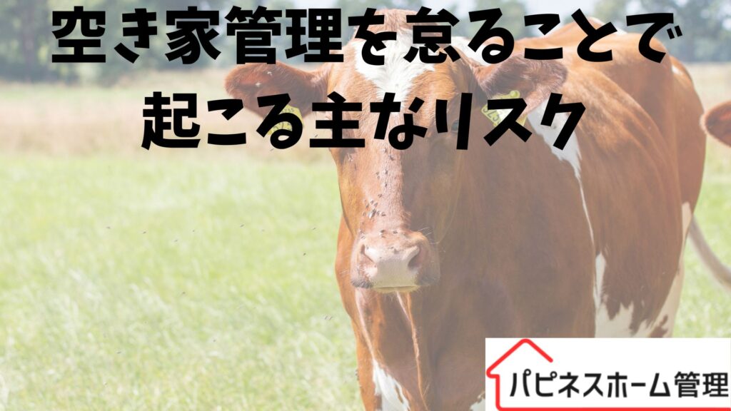 空き家管理
主なリスク
ハピネスホーム管理